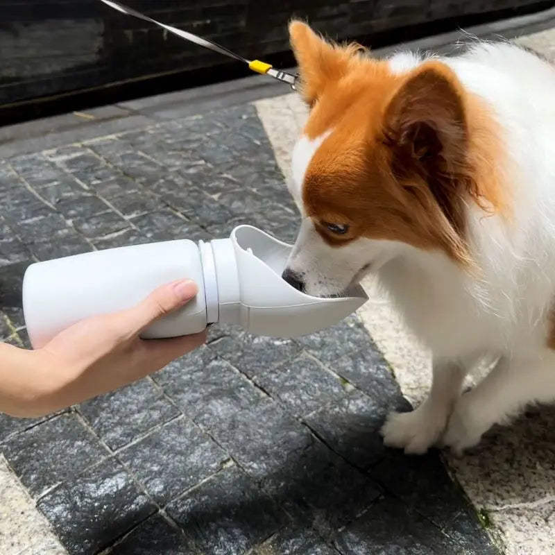 Portable Folding Pet Water Bottle 